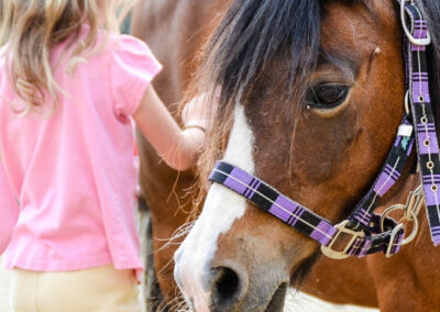 Bourton Vale Equestrian Centre