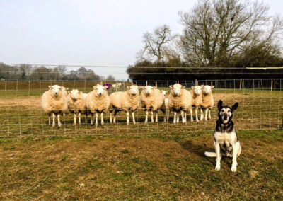 Bourton Vale Equestrian Centre